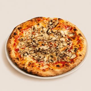 Funghi champignon