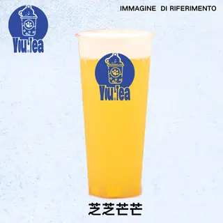 MANGO CHEESE