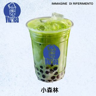 MATCHA MILK 