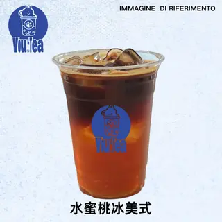 AMERICAN ICED PESCA