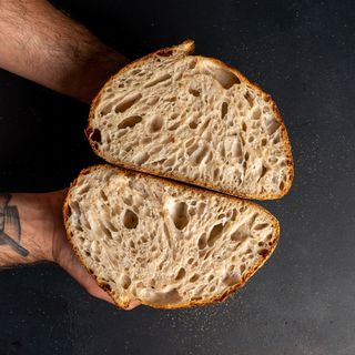 Pane