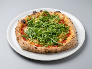 Rucola