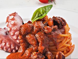 Tagliolino ragu di polpo e pecorino