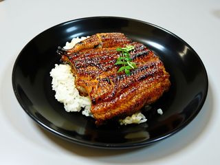 Unagi teriyaki
