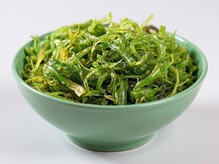 Alghe giapponese wakame