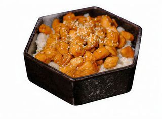 Yakitori don