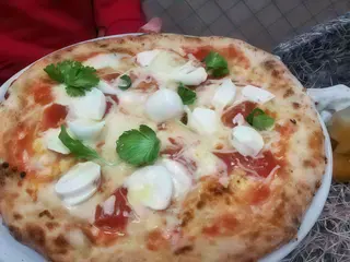 donna Sofia 2.0
