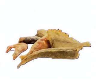 Paranza