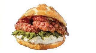 Polpo