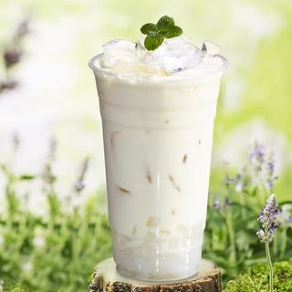 Milk tea al gelsomino