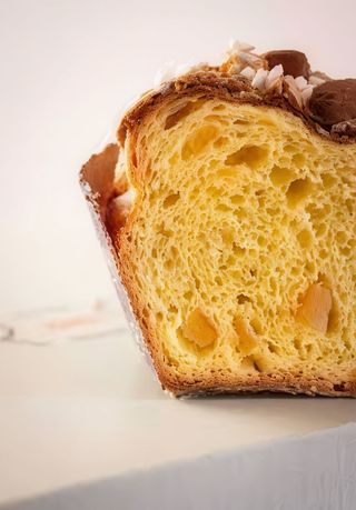Colomba classica
