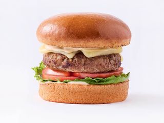 Normal Cheese Burger