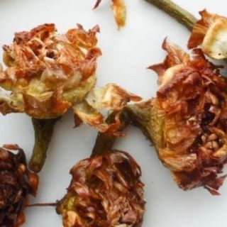 Carciofi fritti