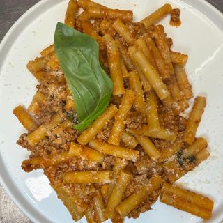 Bolognese