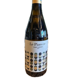 B49 - Pinot Grigio "Le Pianure" – Az. Stocco