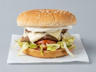 Fish fillet burger singolo