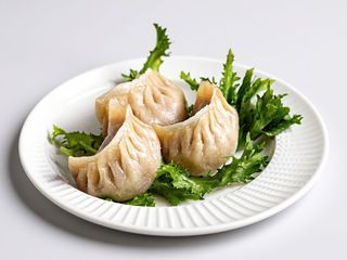 Gyoza di pollo giapponese
