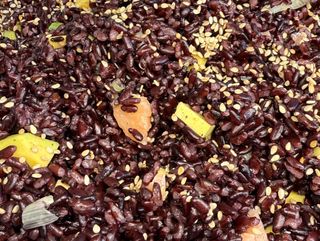 RISO VENERE CON AVOCADO E SALMONE