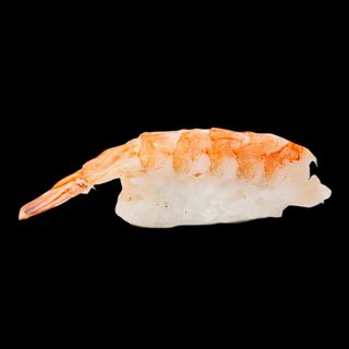 174. Nigiri ebi