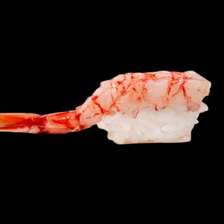 Nigiri amaebi