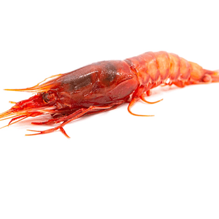 Gambero rosso