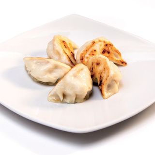 Pony gyoza alla griglia