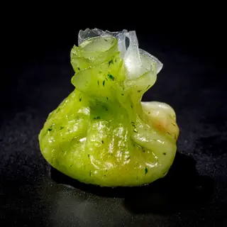 Dim sum verdura
