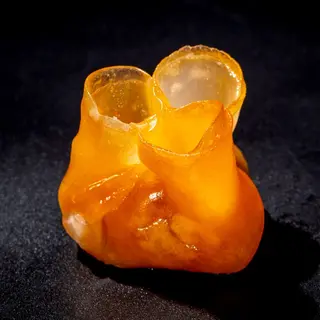 Dim sum anatra