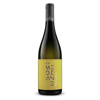 Ribolla Gialla - 75cl - Alc. 12,5%