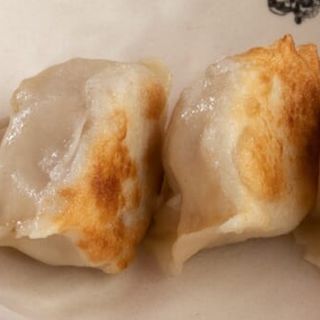 Gyoza Char-Siu 4pz