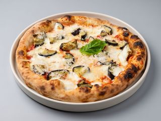 Del Ducato