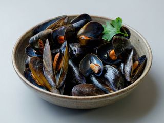 Soutè di Cozze