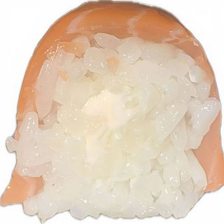 U20 SALMENE CHEESE 6PZ