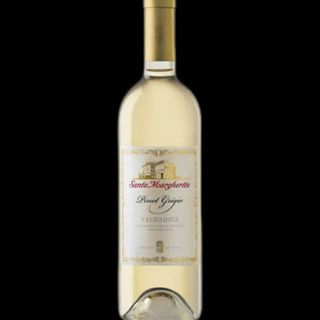 PINOT GRIGIO SANTA MARGHERITA