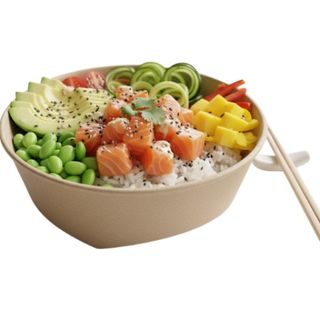 Poke Bowl con Salmone Fresco 452g