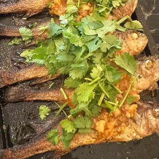 Ombrina gialla alla piastra（5pz）黄鱼