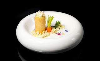 802. Cannolo crispy veggy