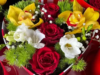 Cure di San Valentino