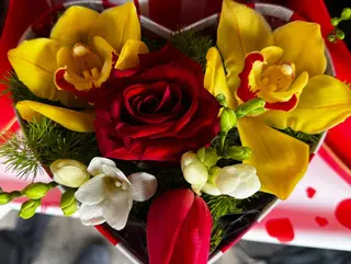 Cure di San Valentino