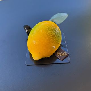 Frutta Realistica Limone