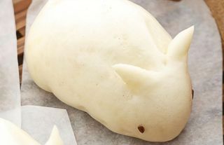Pane coniglio