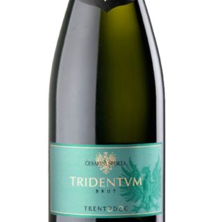 Trento DOC Cesarini sforza 