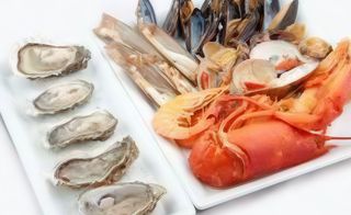 Ostriche e crostacei