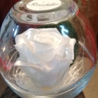 rosa stabilizzata piccola