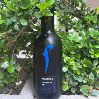 Vino Falanghina Del Sannio DOP