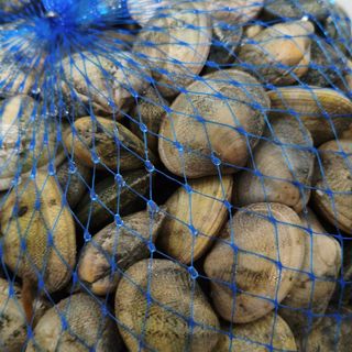 Vongole consorzio allevamento Italia 1kilo