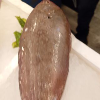 Sogliola pezzatura 300/400 grammi