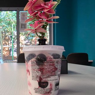 COPPA DI GELATO AL FIORDILATTE E AMARENA