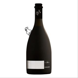 LAMBRUSCO MALAVASI
