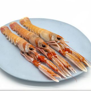 Scampi